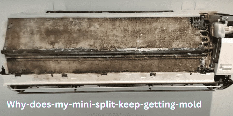 Mold in mini spilt